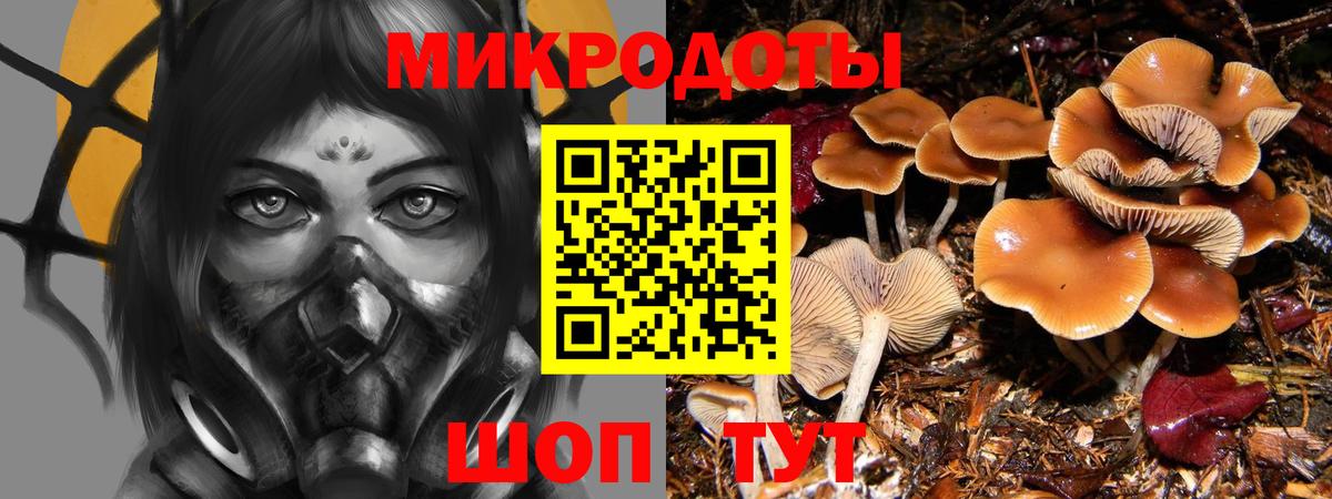 Псилоцибиновые грибы GOLDEN TEACHER  Вход с VPN  Скопин 